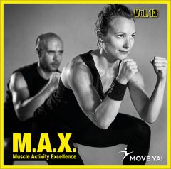 M.A.X. Vol. 13